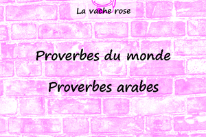 Proverbes arabes