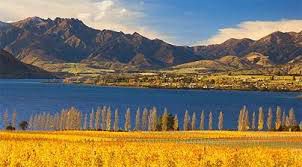 #Chardonnay Producers Central Otago Region  New Zealand