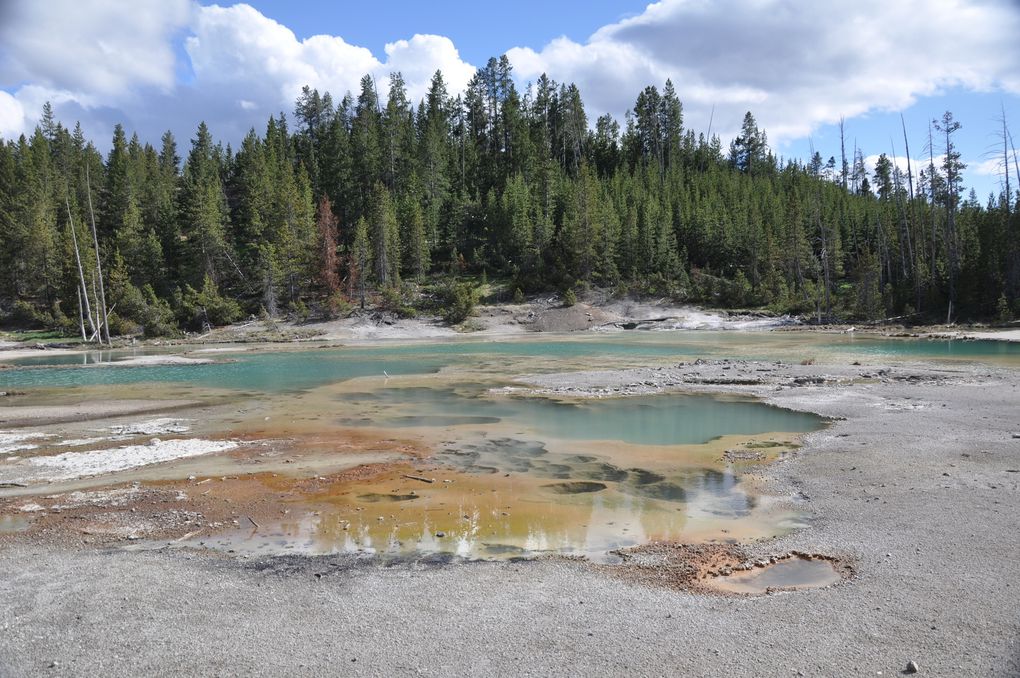 Porcelain spring and Steamboat geyser