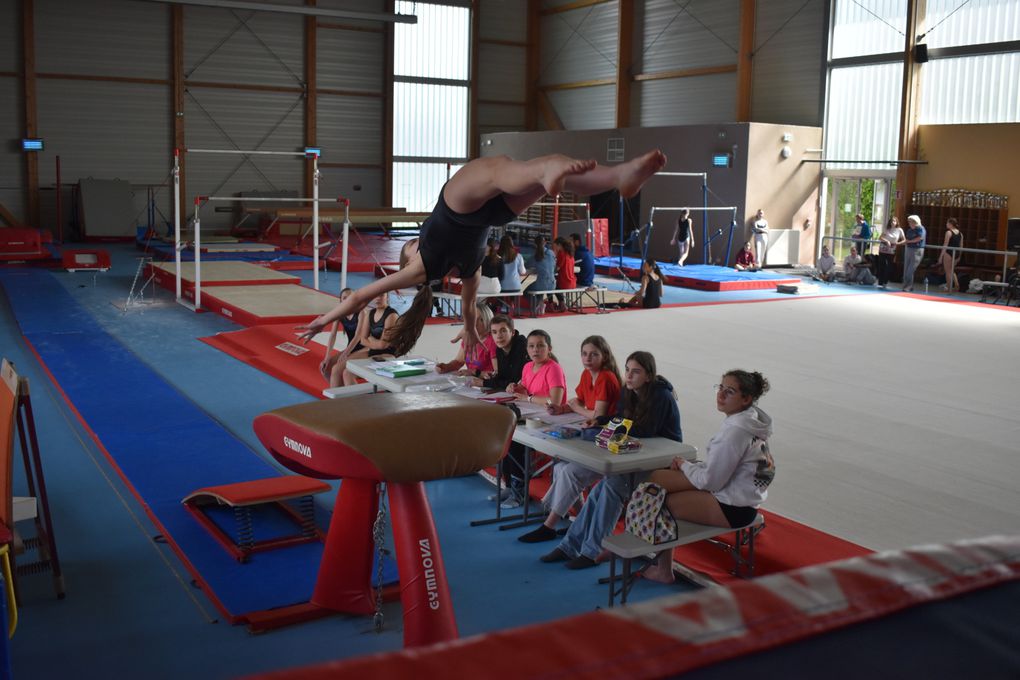 CHAMPIONNAT DEPARTEMENTAL GYMNASTIQUE 2023/2024