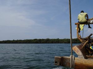 L'expédition se passe autour de l'île de Kwale (images du haut). La première étape est une petite crique au nord-est de l'île (image du bas). Elle n'est accessible qu'à marée haute. À marée basse l'eau se retire totalement, on a pu y piquer une tête, mais il était difficile de voir autre chose que des crabes.