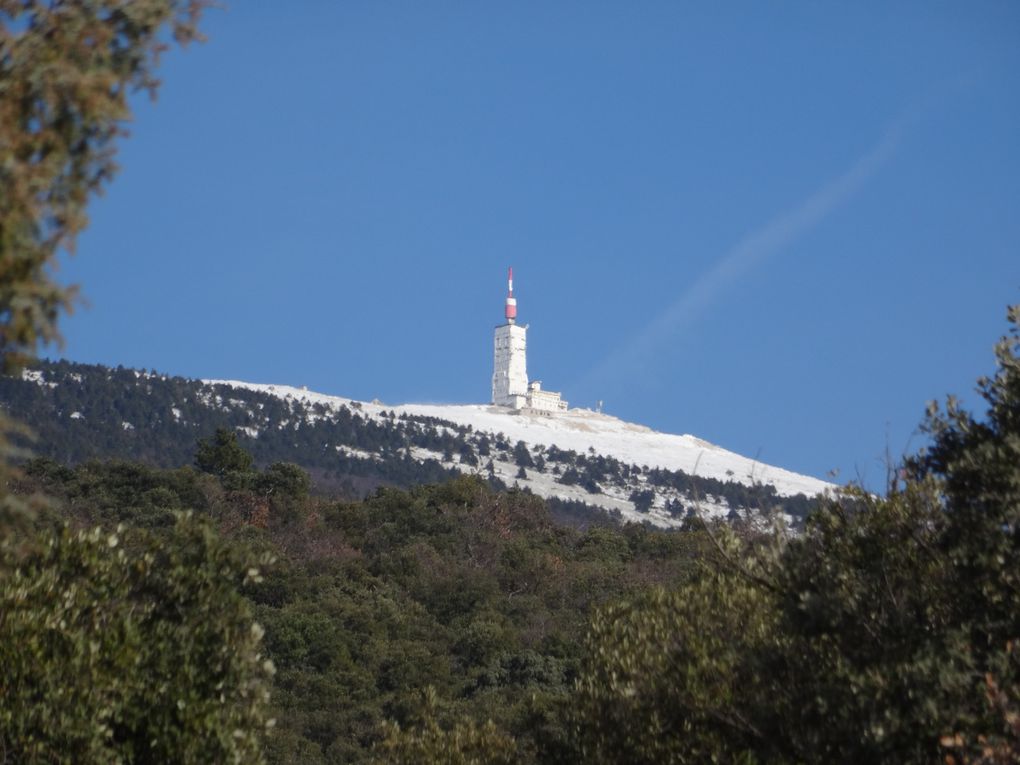 A la découverte de la Combe du Curnier - Mont Ventoux en version pédestre (84) le 14 janvier 2024