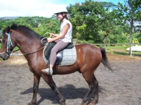 Quoi de plus sympa que de découvrir le plateau de Taravao et les environs à cheval ?!