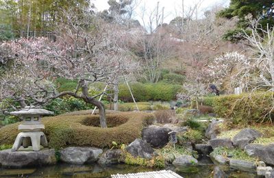 Hase Kannon