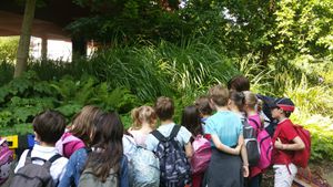 Les MS-GS-CP-CE1 au Quai Branly