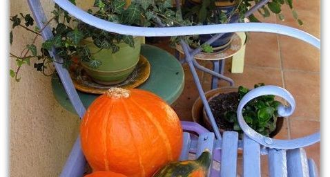 Trois courges sur un banc