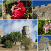 Grimaud . Septembre 2020