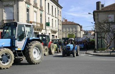 Manif LGV du samedi 6 mars 2010 à NERAC en photos