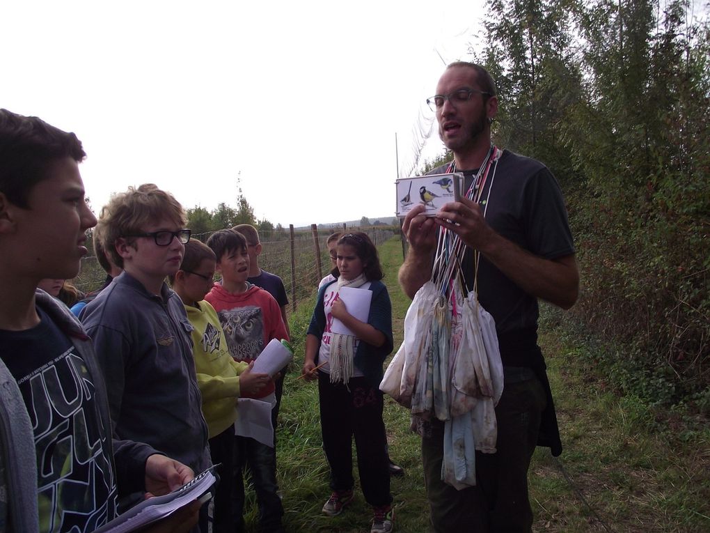  Sortie à la réserve naturelle de la Mazière de 42 collégiens 