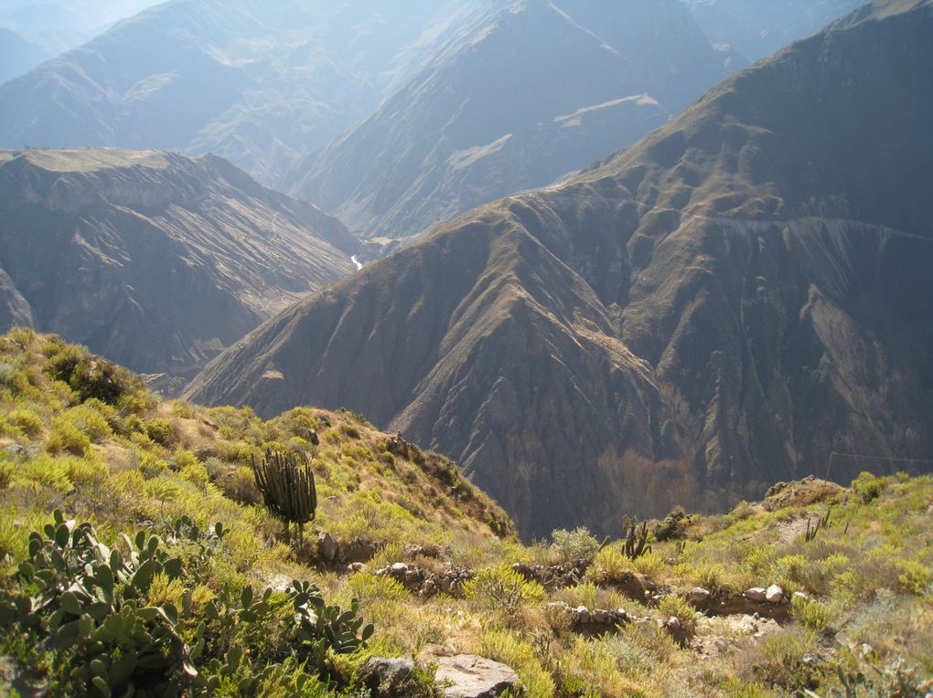 Album - Colca Canyon - 5 Juillet