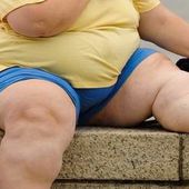 Plus d'obèses que de malnutris sur terre - MOINS de BIENS PLUS de LIENS
