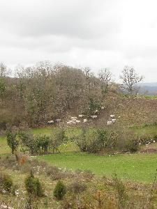 Pâturages, vaches et habitat d'Ariège