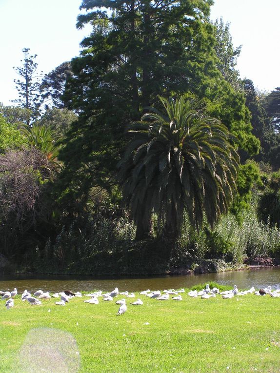 Album - Melbourne-Botanical-Garden