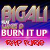 .::Big Ali Burn It Up::.