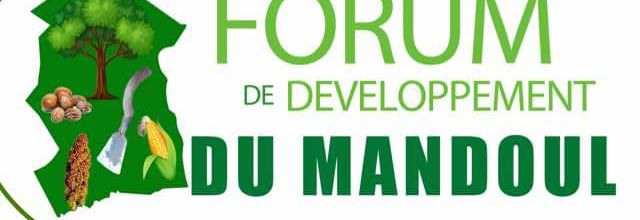 "Vers l'Aube d'une Renaissance : Le Forum de Développement de Koumra"