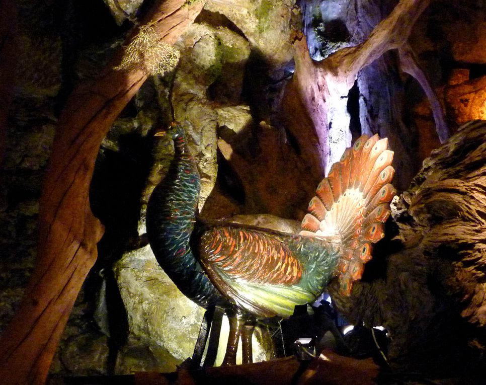 Album - Musée-des-Arts-Forains - Paris