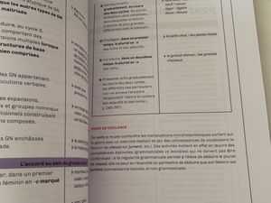 les fondamentaux de grammaire du CP à La 6eme sur charlotteblablablog