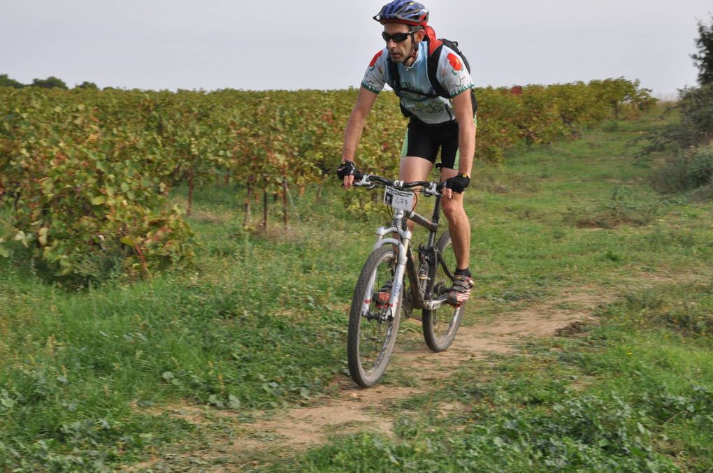 Randonnée de la Gastronomie et du Terroir - Piolenc 21 octobre 2012