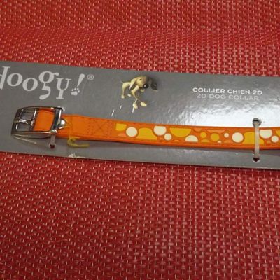 Collier pour chien orange