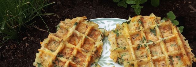 Gaufres de pomme de terre & fanes de carottes