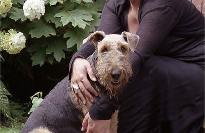 La fin du site "kimwildegardens"