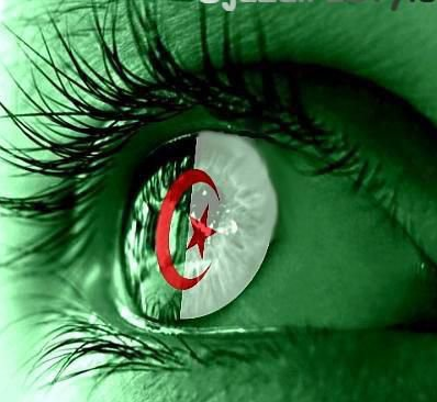 Afin que nul n'oubli l'histoire de l'Algérie 