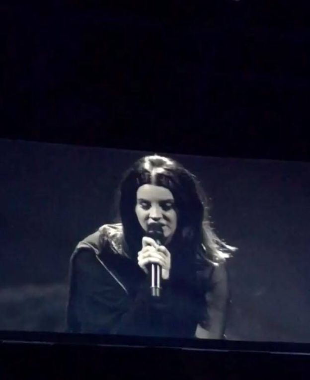 Lana Del Rey en live au Value City Arena du Schottenstein Center de Colombus, dans l'Ohio (23/01/2018)