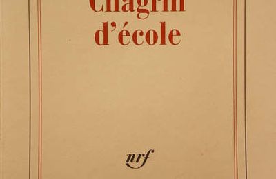 "Chagrin d'école" de Daniel PENNAC