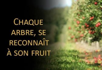 QUE NOUS SOYONS TOUS ENSEIGNABLES !