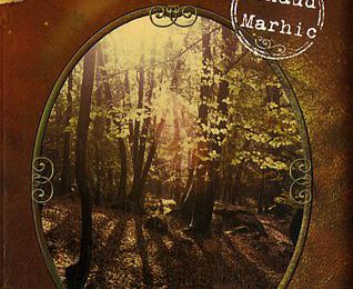 Terminus Brocéliande – Renaud Marhic