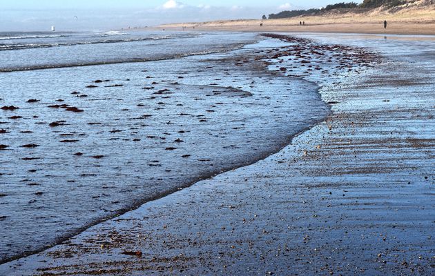 Plages de Vendée : Notre-Dame-de-Monts