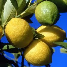 Le citron pour tuer les cellules cancereuses