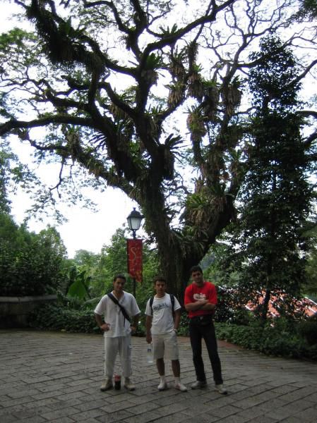 Voyage à Singapour mais vraiment trop court pour bien découvrir cette ville sur une île à la pointe  Sud de la Malaisie.