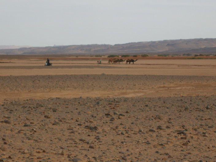 Zagora, Merzouga, Assa, TanTan, Guelmin ... on arrive