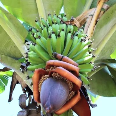  La Bourse de Douala affiche de valeur de croissance stable