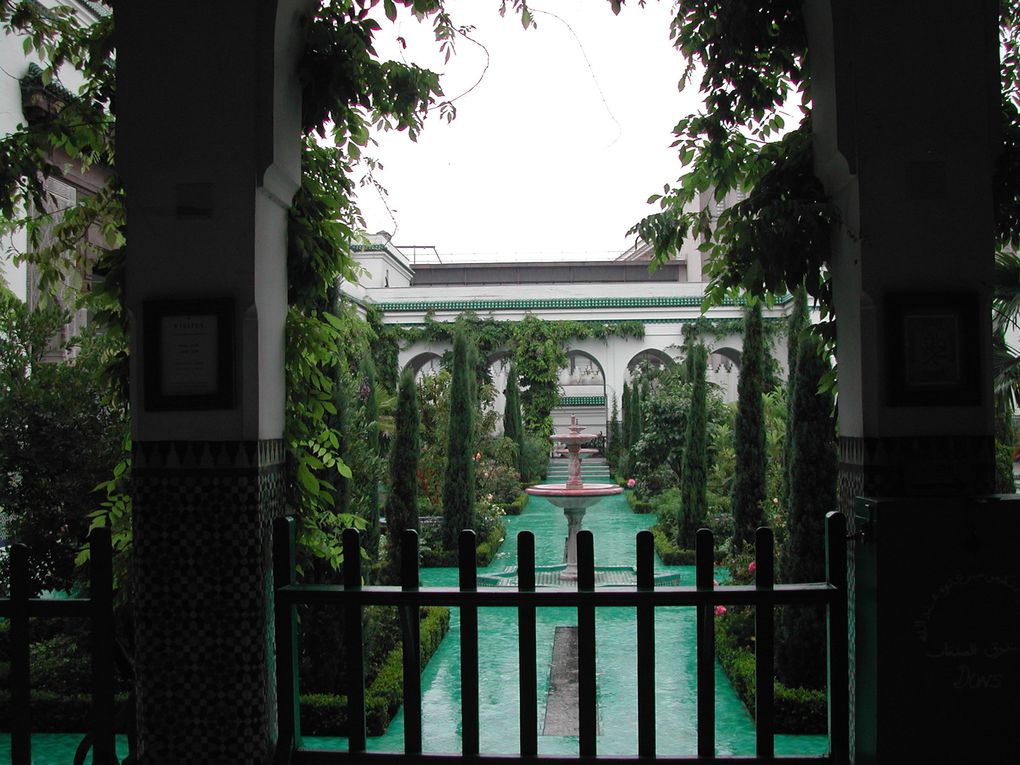 Visite du jardin de la Mosquée de Paris avec Isabelle Levêque, paysagiste qui a restauré ce jardin.