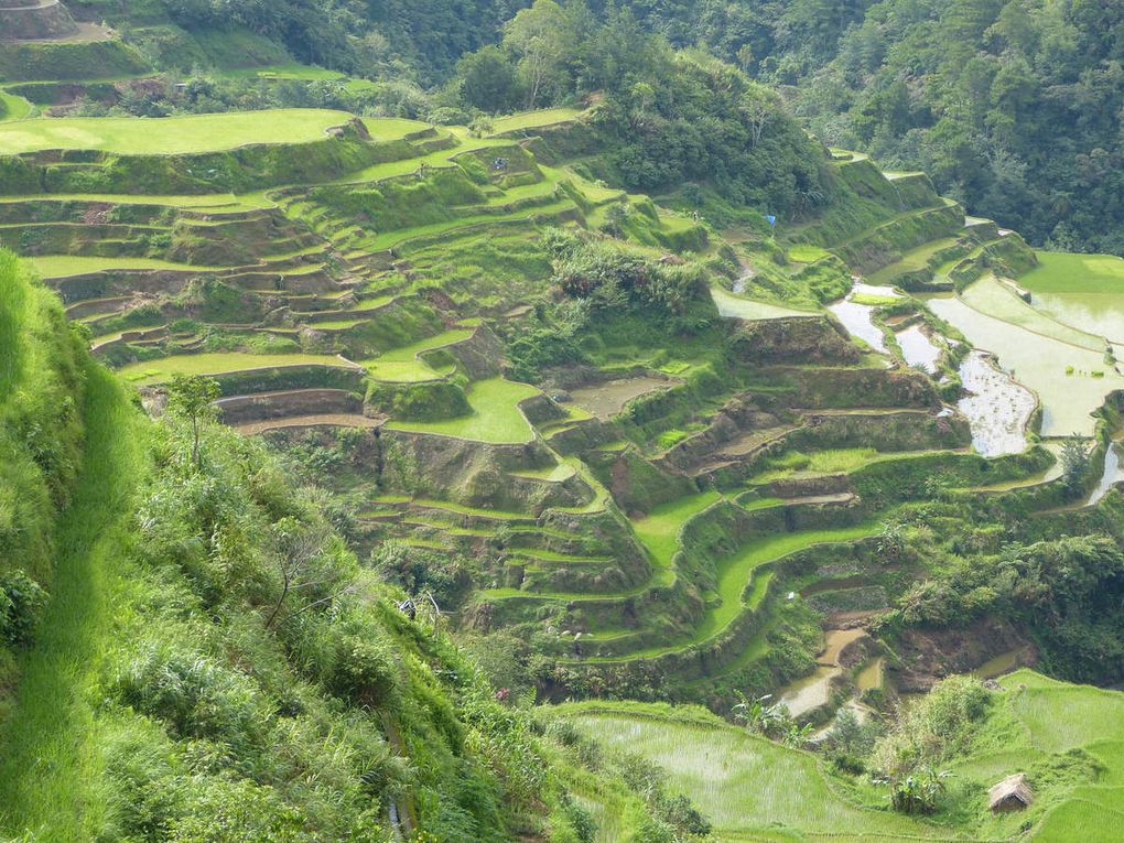 BANAUE- 23/27 mai