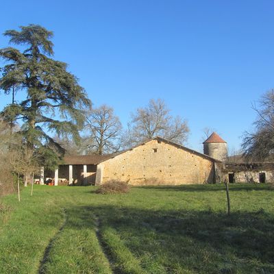 Le château de la Mothe à Feuillade (Charente)