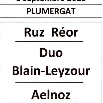 Actualités locales: Plumergat