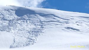 Voici le printemps, alors un petit bilan de l'Hiver