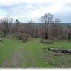 Kangaroos - Churchill National Park