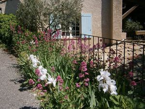 WEEK-END DE PENTECÔTE 2016 - SIMIANE-LA-ROTONDE (Alpes-de-haute-Provence)