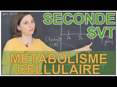 Définition du métabolisme cellulaire - SVT Seconde - Les Bons Profs