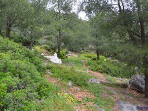 Chefchaouen, (Maroc en camping-car)