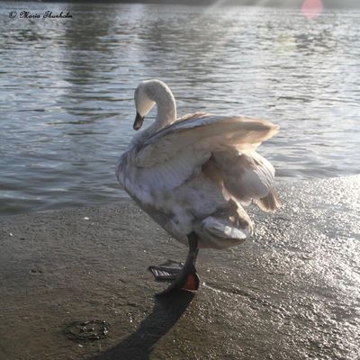 Après la fin du monde