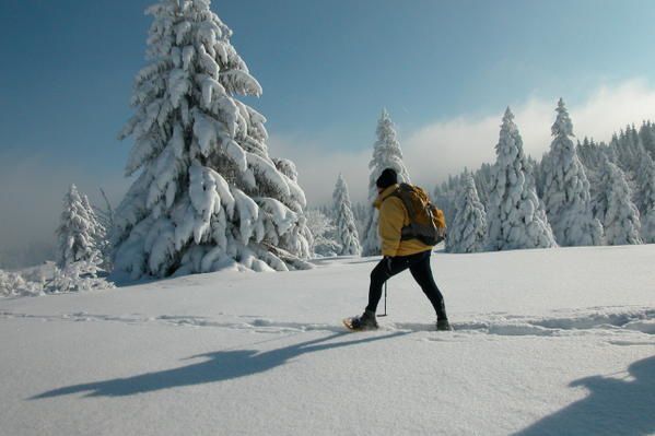 Vous êtes à pied d'oeuvre pour découvrir les plus beaux panoramas du massif des Bauges