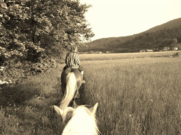 Pendant les 8 jours d'arrêt où Happy rencontre un amoureux, nous profitons des montagnes slovènes, en dessous de Ljubljana, précisement à Iska Vas.....pour nous promener à cheval... que du bonheur!