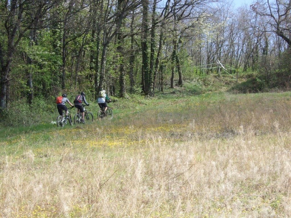 Rando 55 km "entre vigne et pierres dorées"