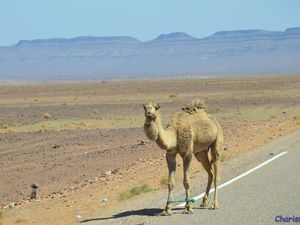 Sur la route de Merzouga (Maroc en camping-car)