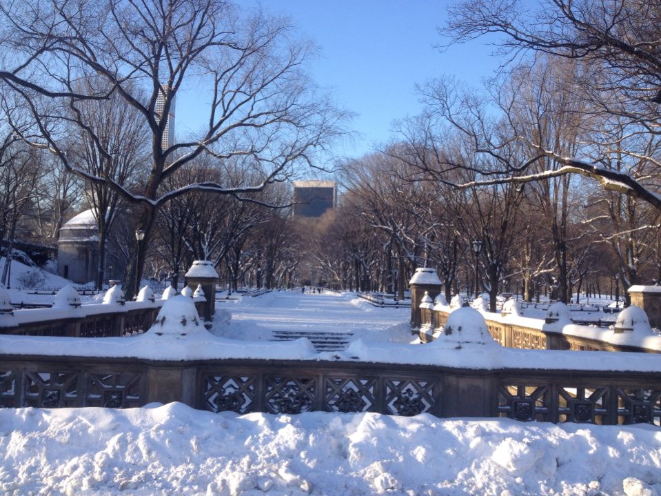 Central Park (encore) sous la neige